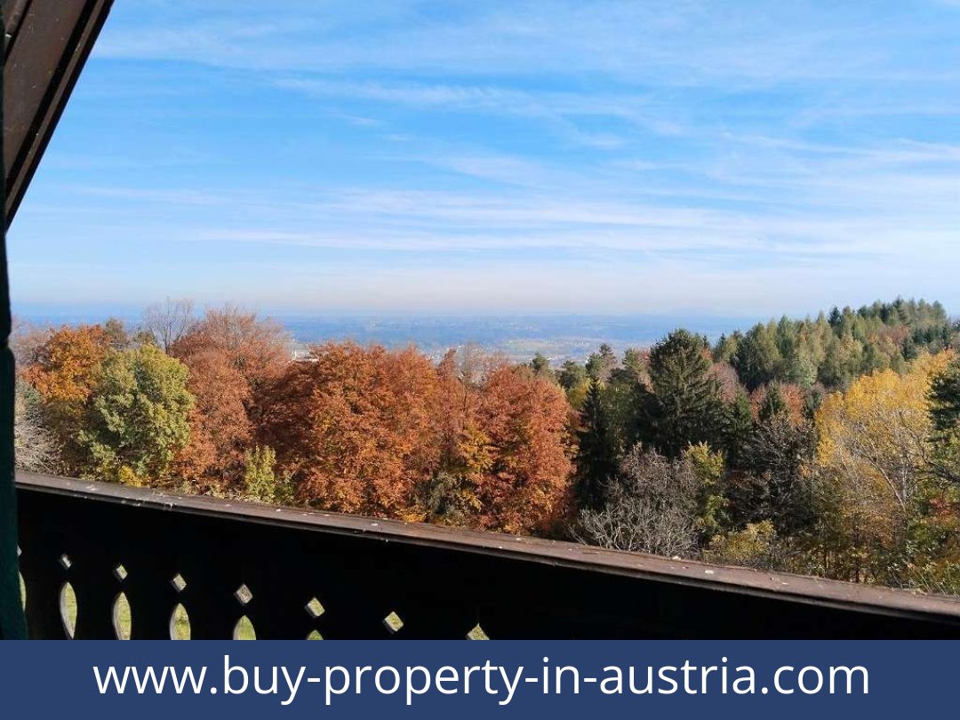 buy-property-in-austria-bad gams-8524-20251010221816-0032401011.jpg